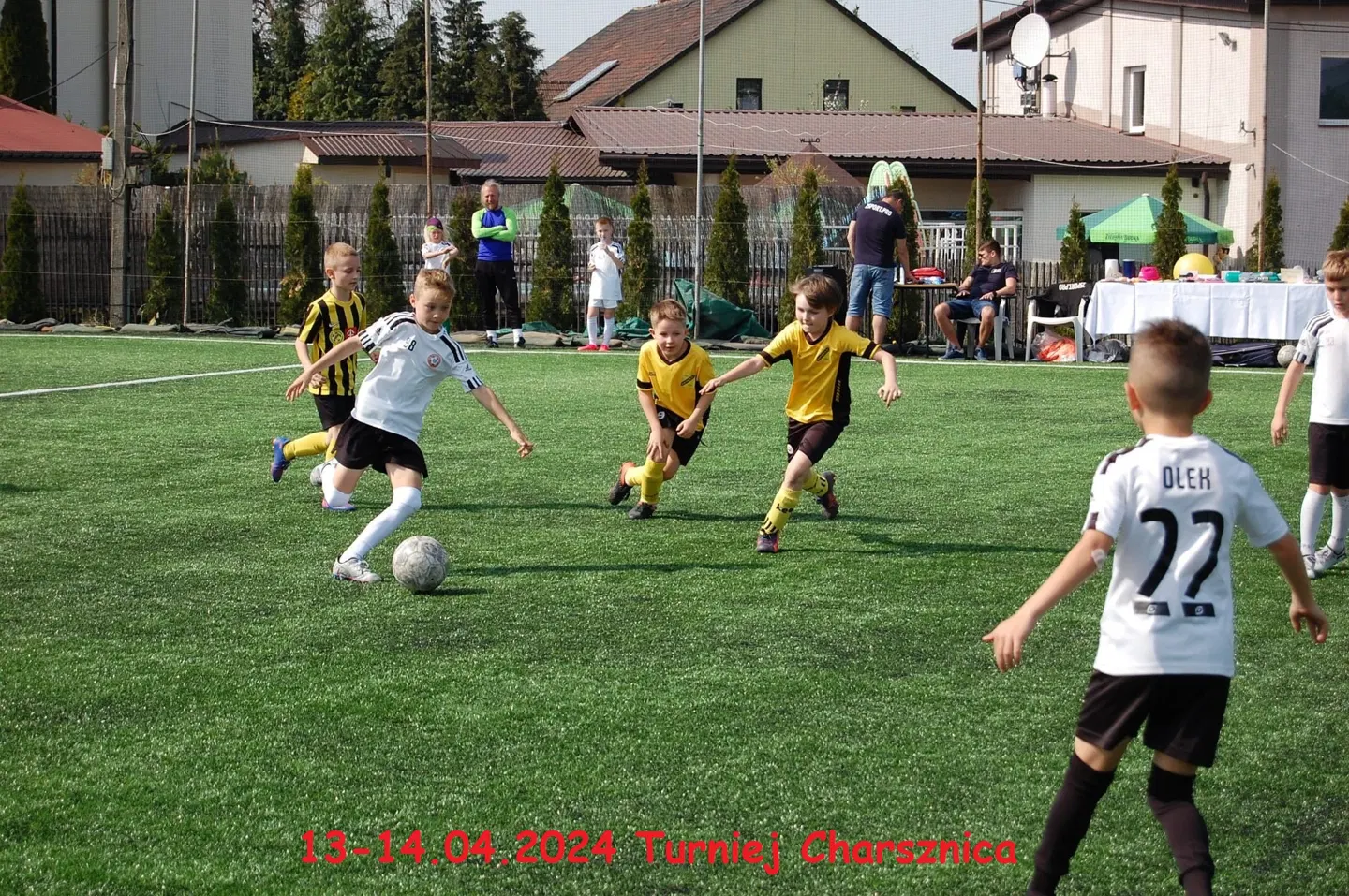 Żak Starszy II · zdjęcie 12