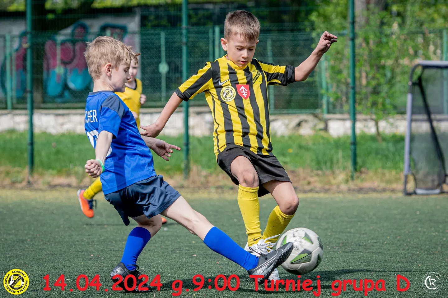 Żak Młodszy · zdjęcie 11
