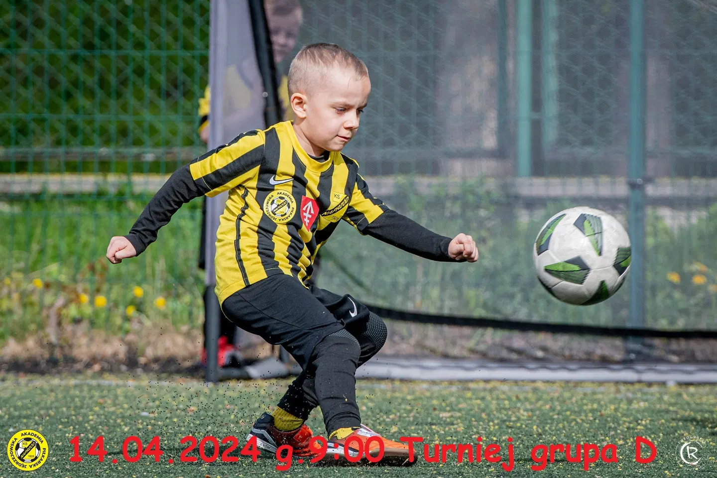 Żak Młodszy · zdjęcie 2
