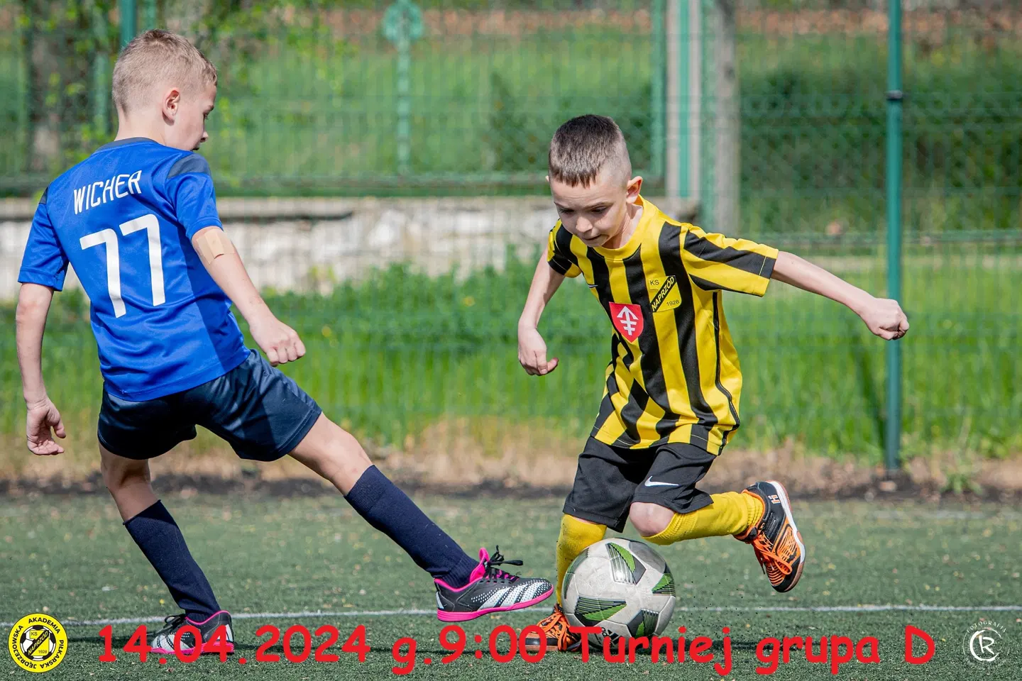 Żak Młodszy · zdjęcie 7
