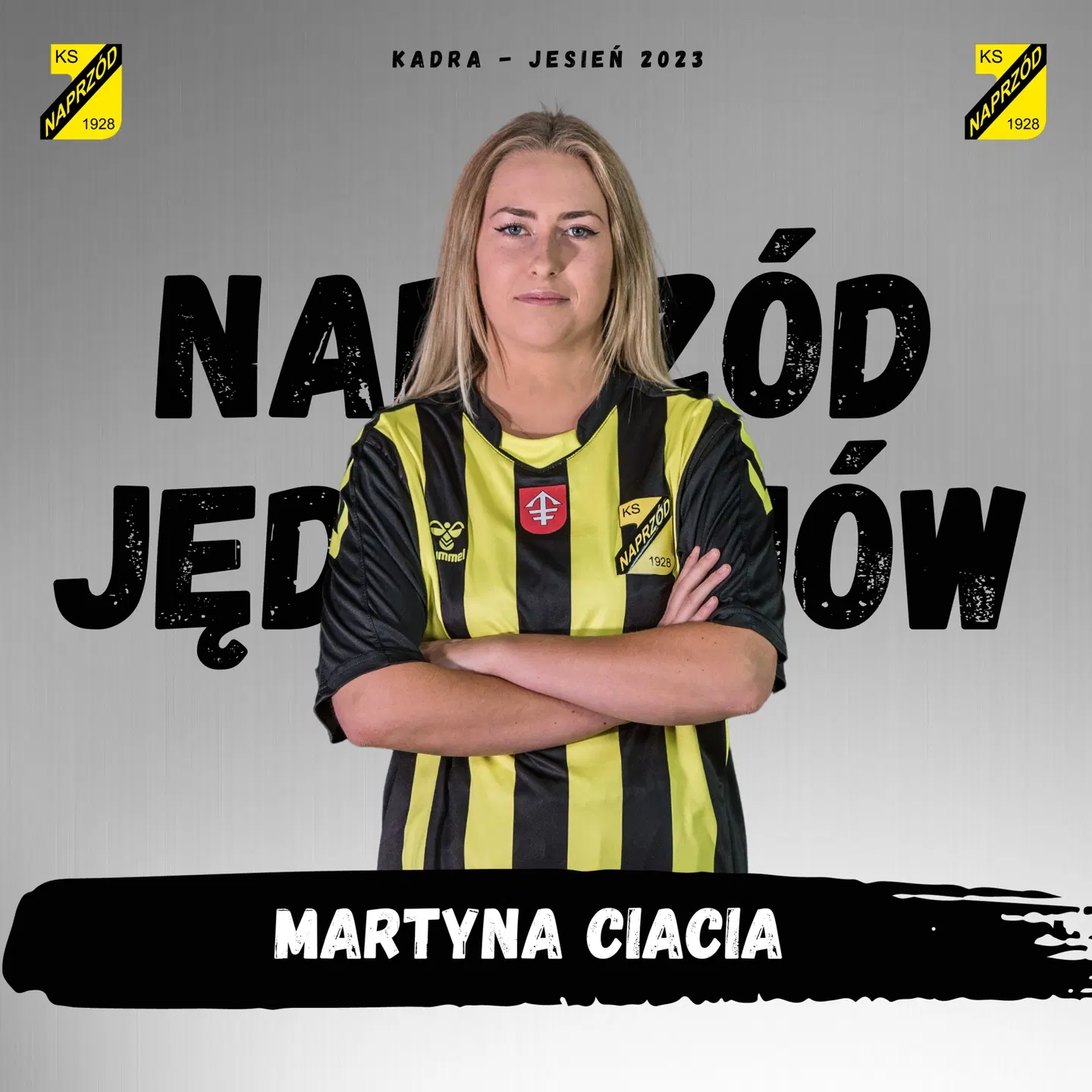 Napastnik · Napastnik